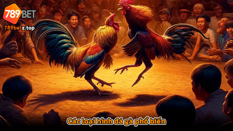 Các loại hình đá gà phổ biến