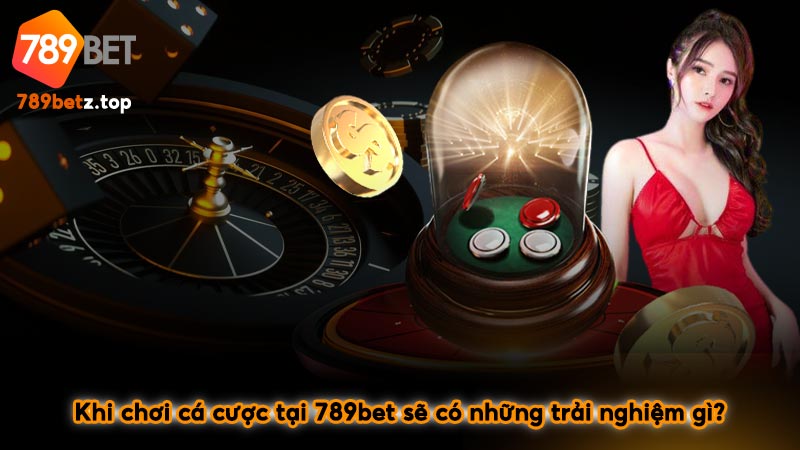 Khi chơi cá cược tại 789bet sẽ có những trải nghiệm gì?