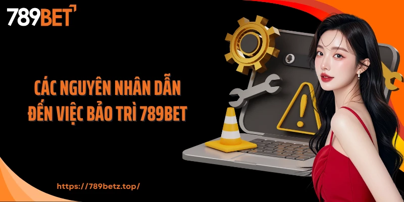 Các nguyên nhân dẫn đến việc bảo trì 789Bet
