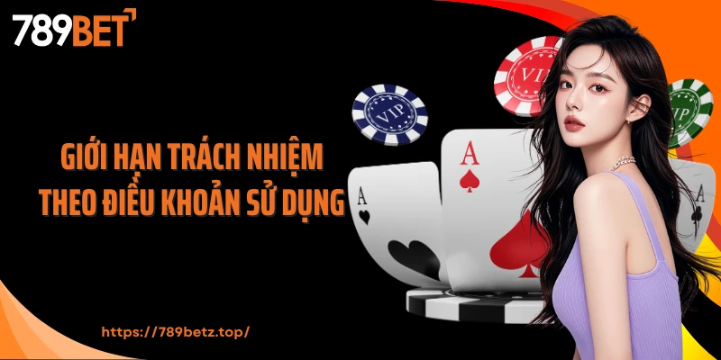 Giới hạn trách nhiệm theo điều khoản sử dụng